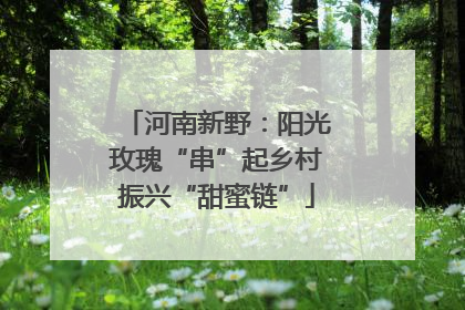 河南新野：阳光玫瑰“串”起乡村振兴“甜蜜链”