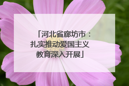 河北省廊坊市：扎实推动爱国主义教育深入开展