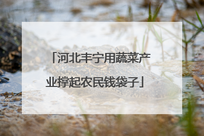 河北丰宁用蔬菜产业撑起农民钱袋子
