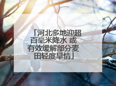 河北多地迎超百毫米降水 或有效缓解部分麦田轻度旱情
