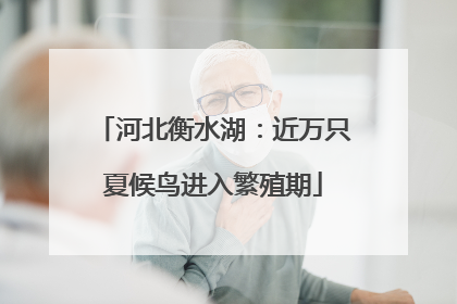 河北衡水湖：近万只夏候鸟进入繁殖期