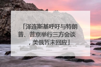 泽连斯基呼吁与特朗普、普京举行三方会谈，美俄暂未回应