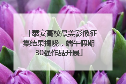 泰安高校最美影像征集结果揭晓，端午假期30强作品开展