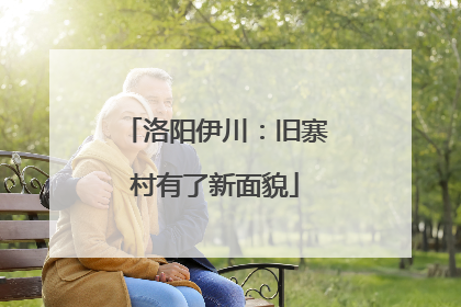 洛阳伊川：旧寨村有了新面貌