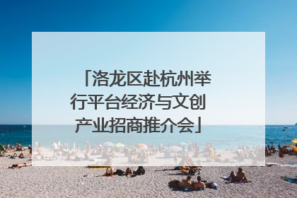 洛龙区赴杭州举行平台经济与文创产业招商推介会