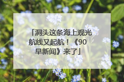 洞头这条海上观光航线又起航！《90早新闻》来了