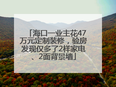 海口一业主花47万元定制装修，验房发现仅多了2样家电、2面背景墙