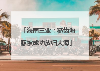 海南三亚：糙齿海豚被成功放归大海