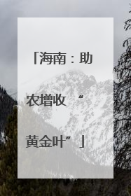 海南：助农增收 “黄金叶”
