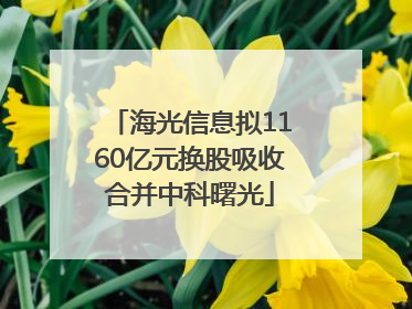 海光信息拟1160亿元换股吸收合并中科曙光