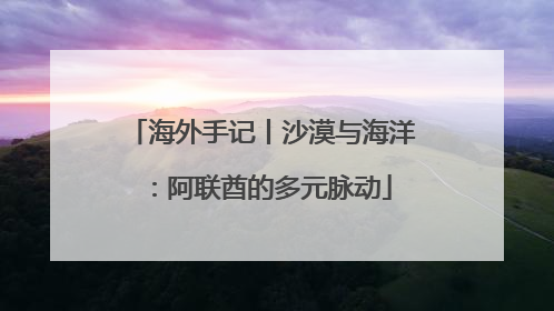 海外手记丨沙漠与海洋：阿联酋的多元脉动