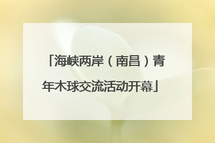 海峡两岸（南昌）青年木球交流活动开幕