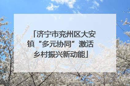 济宁市兖州区大安镇“多元协同”激活乡村振兴新动能