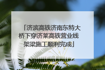 济滨高铁济南东特大桥下穿济莱高铁营业线架梁施工顺利完成