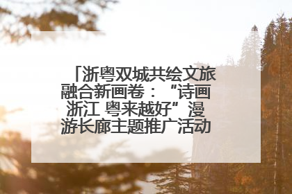 浙粤双城共绘文旅融合新画卷：“诗画浙江 粤来越好”漫游长廊主题推广活动在广州花城汇启幕