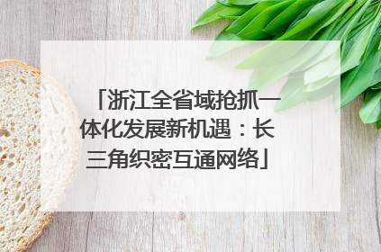 浙江全省域抢抓一体化发展新机遇：长三角织密互通网络