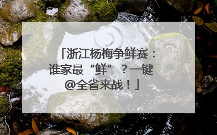 浙江杨梅争鲜赛：谁家最“鲜”？一键@全省来战！