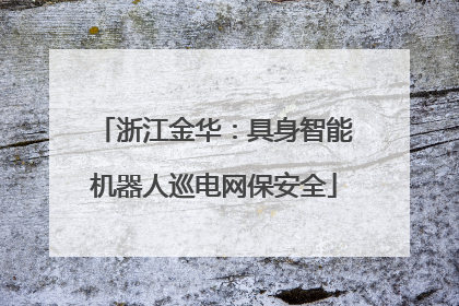 浙江金华：具身智能机器人巡电网保安全