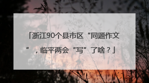 浙江90个县市区“同题作文”，临平两会“写”了啥？