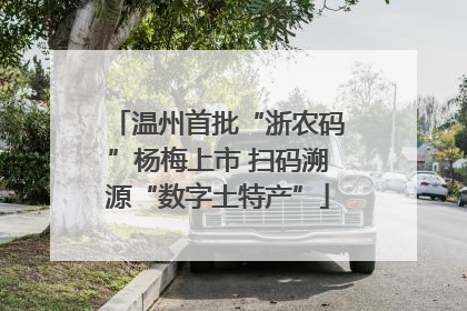 温州首批“浙农码”杨梅上市 扫码溯源“数字土特产”