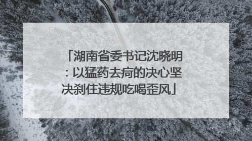 湖南省委书记沈晓明：以猛药去疴的决心坚决刹住违规吃喝歪风