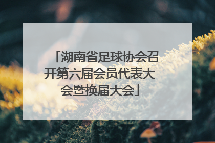 湖南省足球协会召开第六届会员代表大会暨换届大会