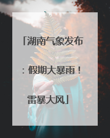 湖南气象发布：假期大暴雨！雷暴大风