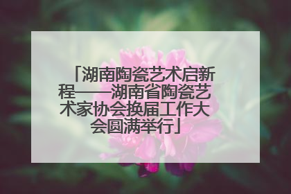 湖南陶瓷艺术启新程——湖南省陶瓷艺术家协会换届工作大会圆满举行