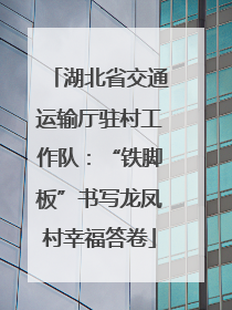 湖北省交通运输厅驻村工作队：“铁脚板”书写龙凤村幸福答卷