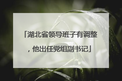 湖北省领导班子有调整，他出任党组副书记
