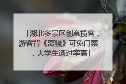 湖北多景区创意揽客，游客背《离骚》可免门票，大学生通过率高