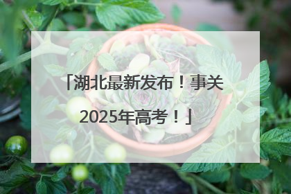 湖北最新发布！事关2025年高考！