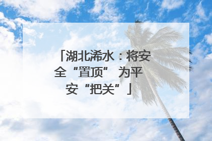 湖北浠水：将安全“置顶” 为平安“把关”