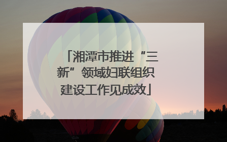 湘潭市推进“三新”领域妇联组织建设工作见成效