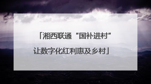 湘西联通“国补进村”让数字化红利惠及乡村