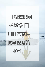 滴灌织网护新绿 四川旺苍茶园抗旱保茶管护忙