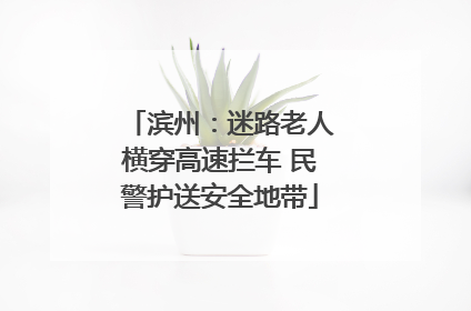 滨州：迷路老人横穿高速拦车 民警护送安全地带