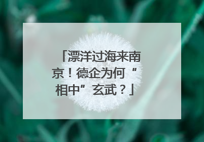 漂洋过海来南京！德企为何“相中”玄武？