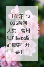 菏泽“2025黄河大集—曹州牡丹园夜游消夏季”开幕