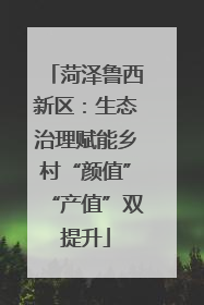 菏泽鲁西新区：生态治理赋能乡村“颜值”“产值”双提升