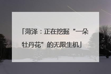 菏泽：正在挖掘“一朵牡丹花”的无限生机