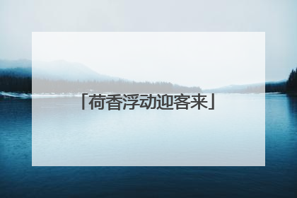 荷香浮动迎客来