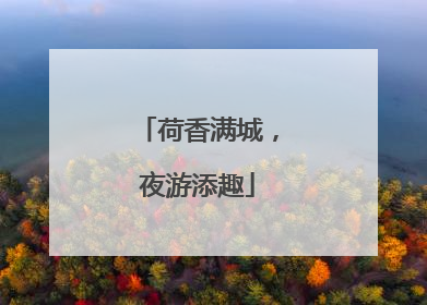 荷香满城，夜游添趣