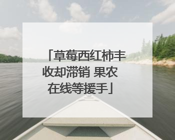 草莓西红柿丰收却滞销 果农在线等援手
