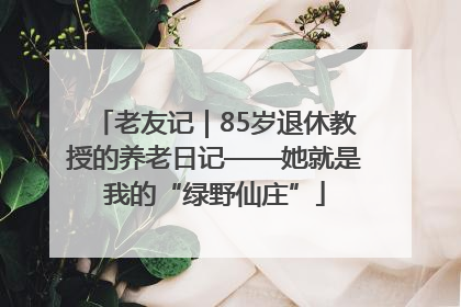 老友记｜85岁退休教授的养老日记——她就是我的“绿野仙庄”