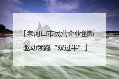 老河口市民营企业创新驱动领跑“双过半”
