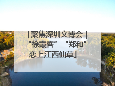 聚焦深圳文博会｜“徐霞客”“郑和”恋上江西仙草