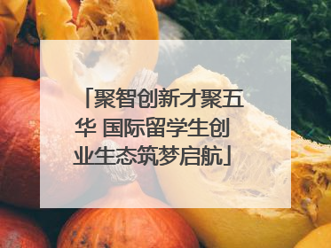 聚智创新才聚五华 国际留学生创业生态筑梦启航