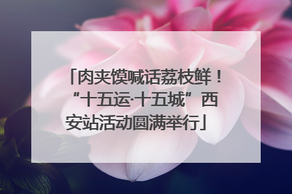 肉夹馍喊话荔枝鲜！“十五运·十五城”西安站活动圆满举行