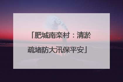 肥城南栾村：清淤疏堵防大汛保平安